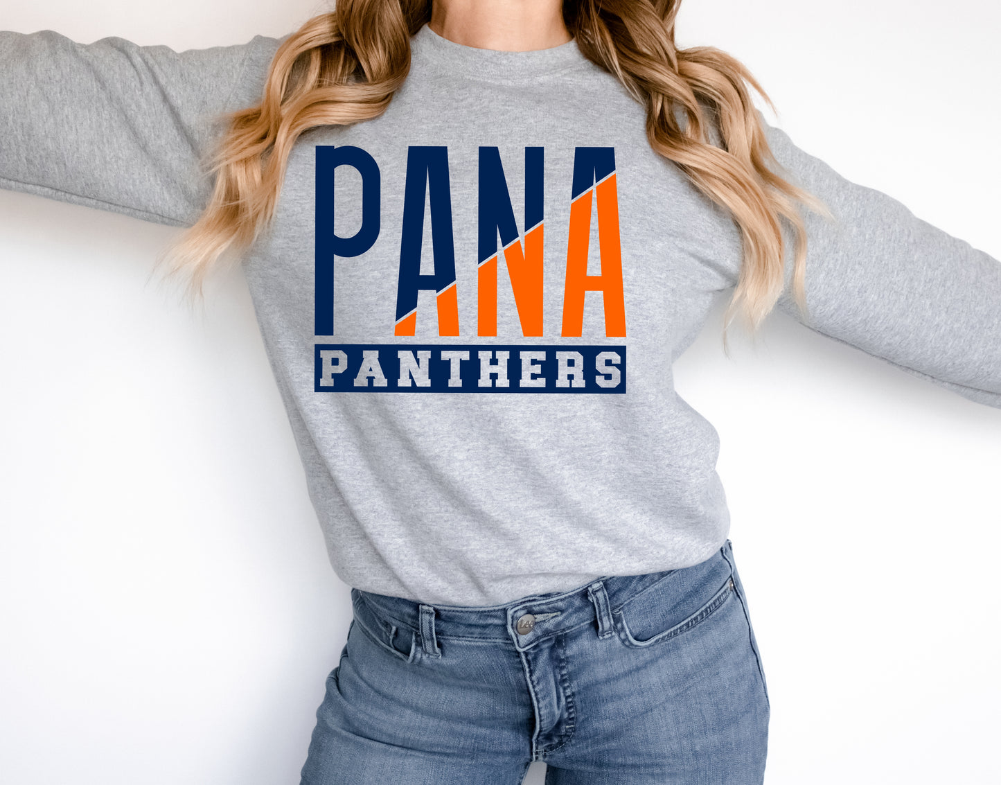 Pana Panthers DTF Transfer