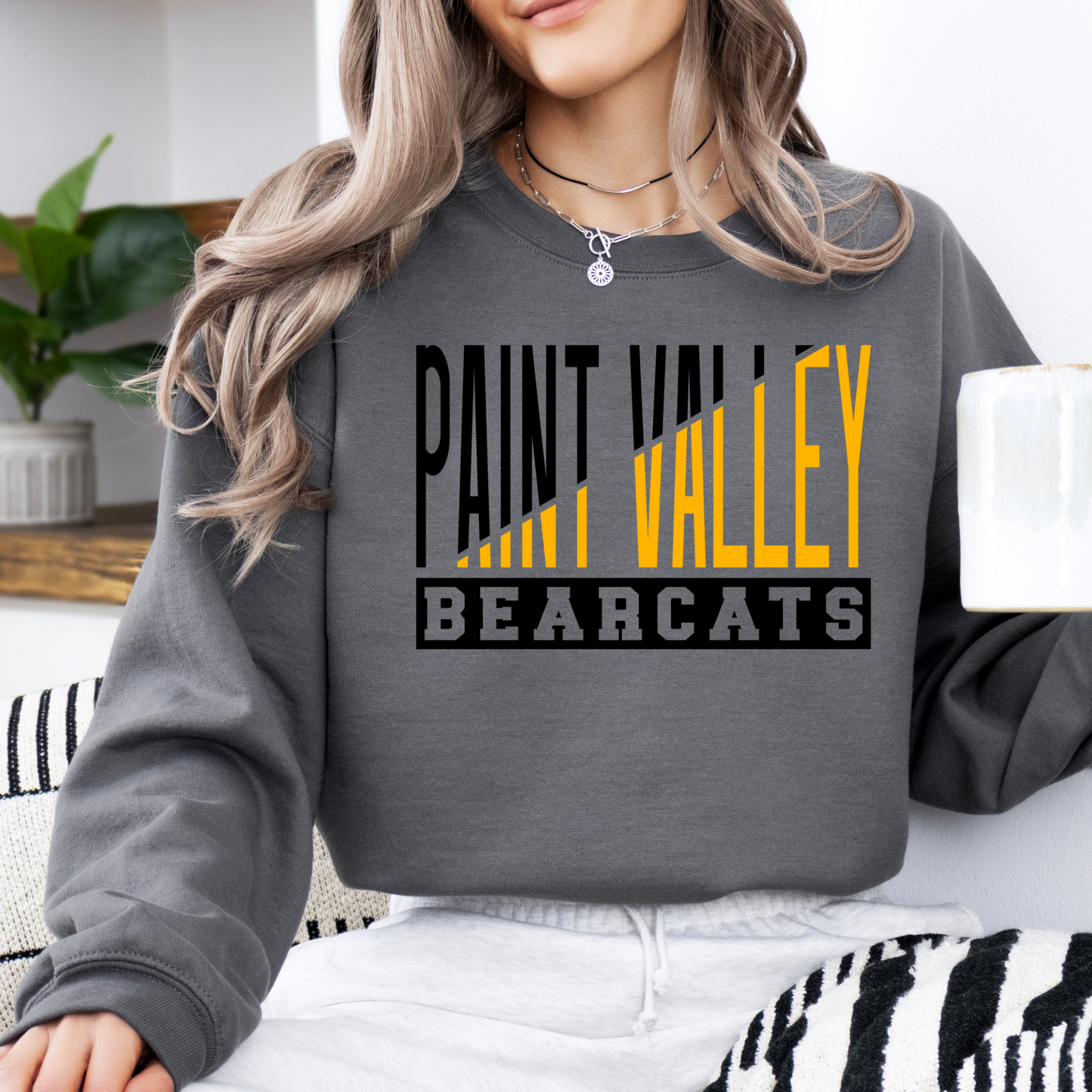 Paint Valley Bearcats DTF Transfer