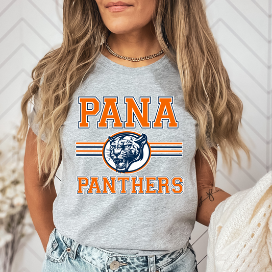 Pana Panthers DTF Transfer