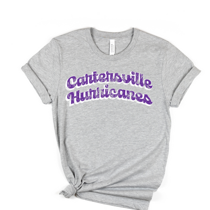 Cartersville Hurricanes Distressed Curve DTF Transfer