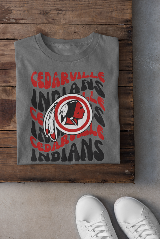 Cedarville Indians Distressed Wavy Mascot Graphic Tee